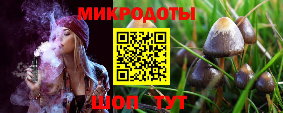 Псилоцибиновые грибы Cubensis Осинники