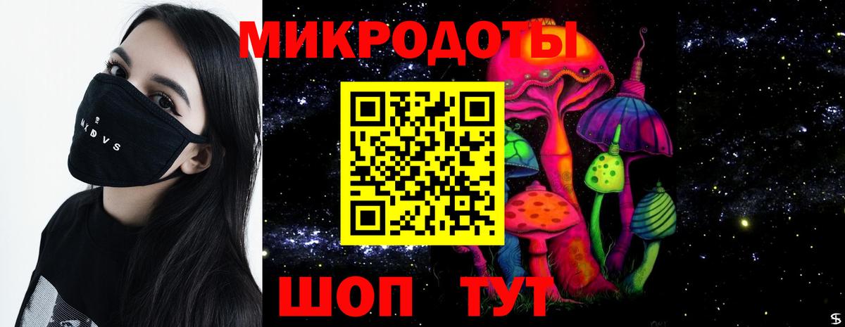 Галлюциногенные грибы прущие грибы  Вход с VPN  Осинники 
